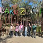 5422472331365389892 150x150