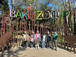 5422472331365389892 300x225